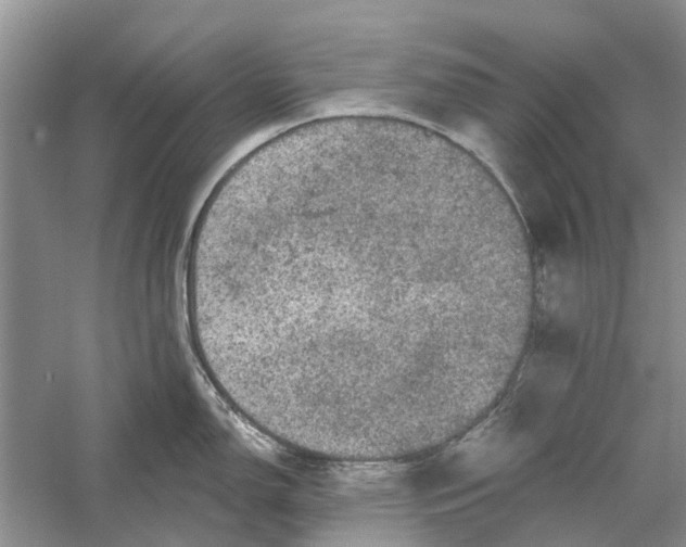 X0000056331150200509232006