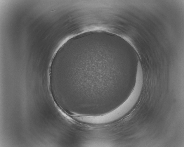 X0000056331151200509232006