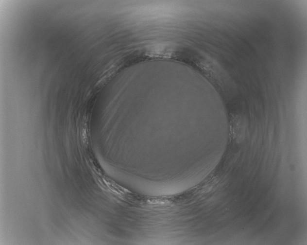 X0000056331154200509232005