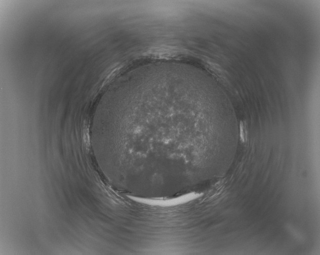 X0000056331155200509232005