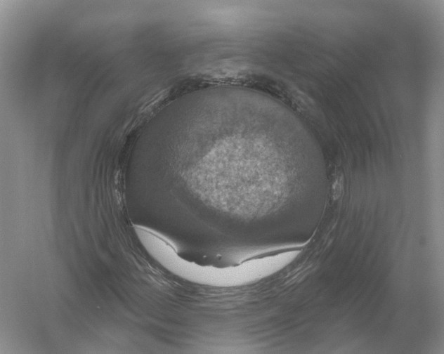 X0000056331156200509232005