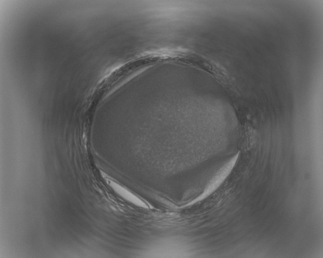 X0000056331158200509232005