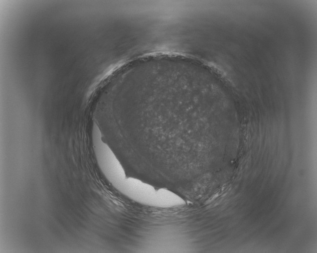 X0000056331159200509232005