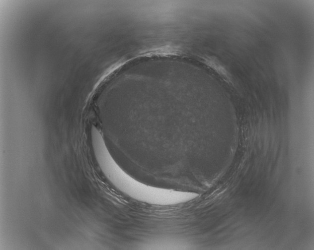 X0000056331160200509232005