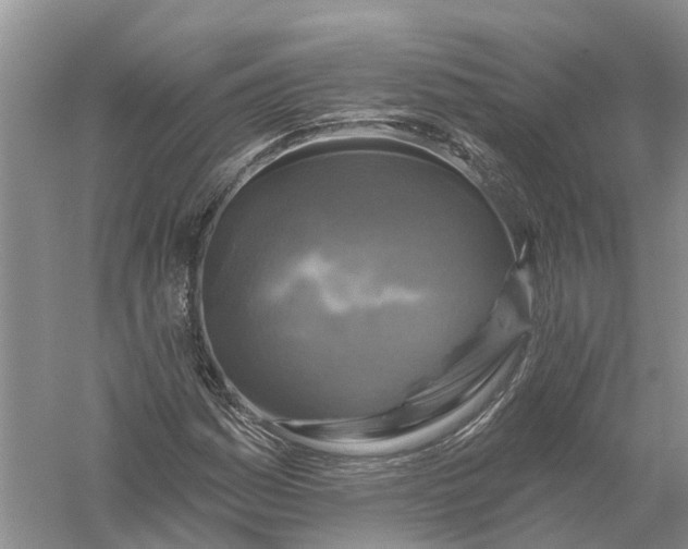 X0000056331161200509232005