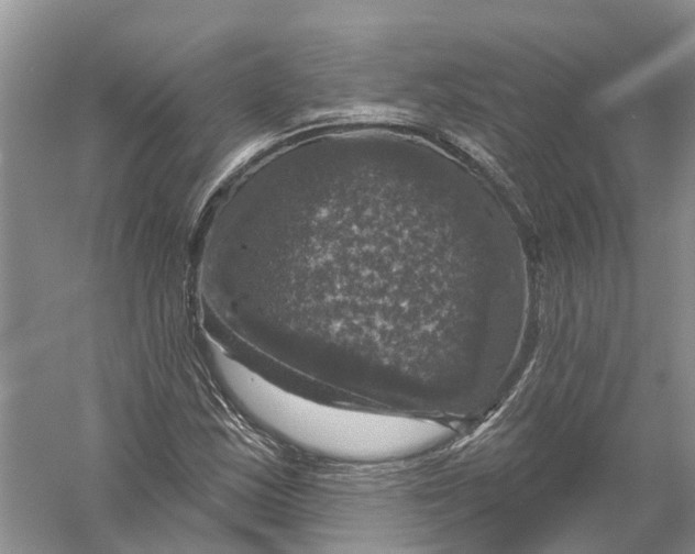 X0000056331163200509232005