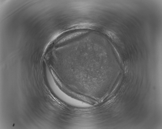 X0000056331164200509232005