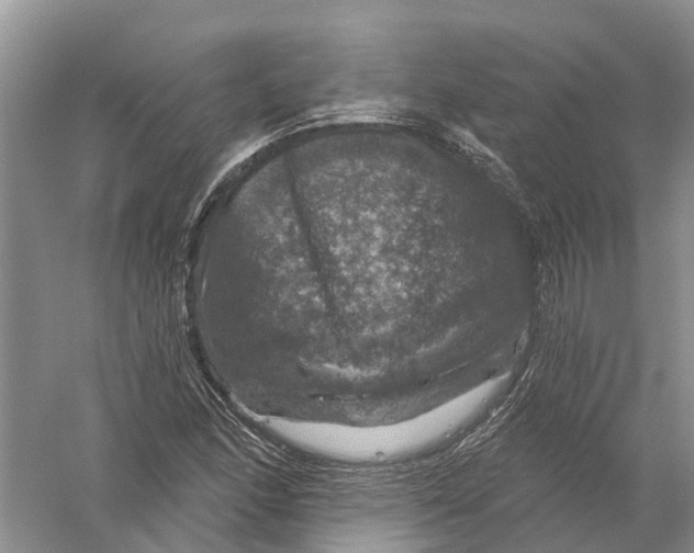 X0000056331166200509232005