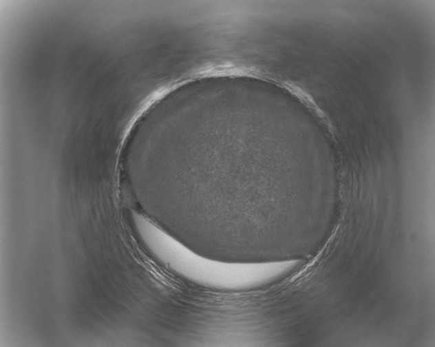 X0000056331167200509232005