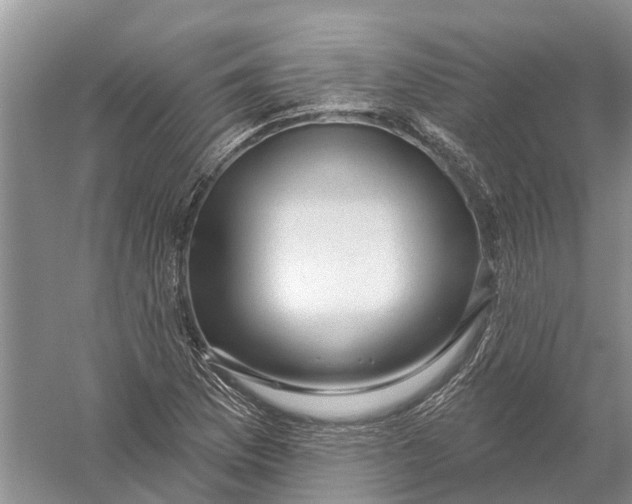 X0000056331169200509232005