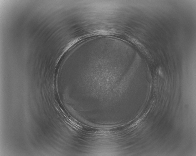 X0000056331170200509232005