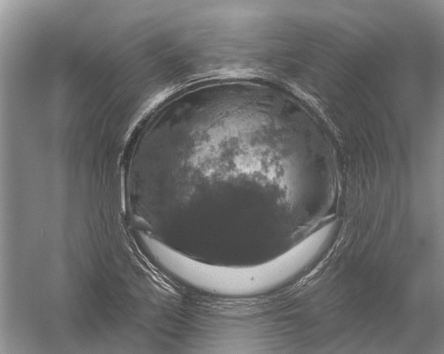 X0000056331171200509232005