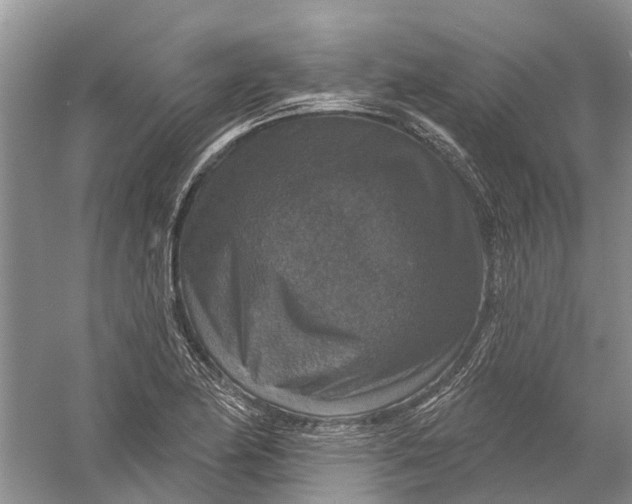 X0000056331174200509232005