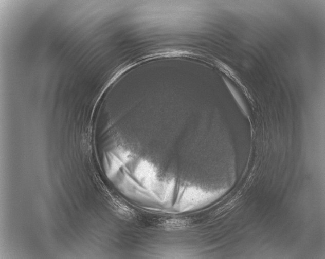 X0000056331178200509232005