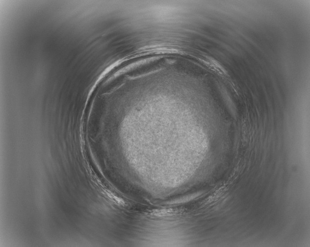 X0000056331182200509232005