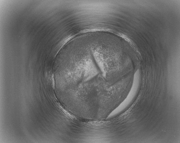 X0000056331185200509232005