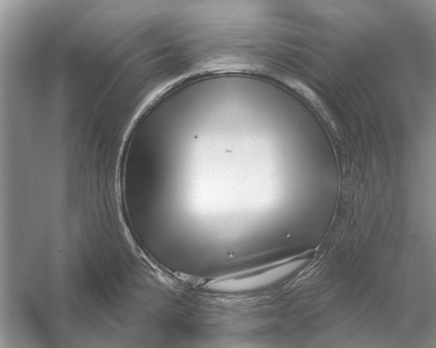 X0000056331191200509232005