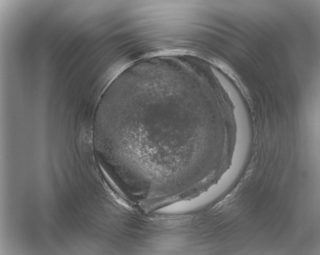 X0000056331193200509232005