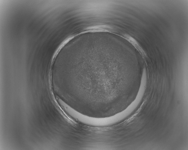 X0000056331196200509232004