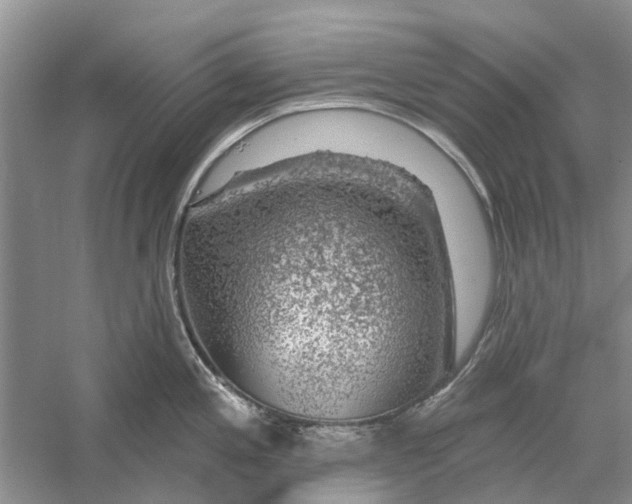 X0000056331197200509232004