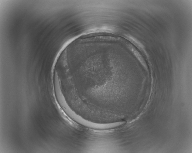 X0000056331200200509232004