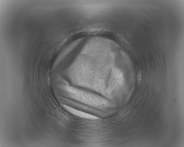 X0000056331204200509232004