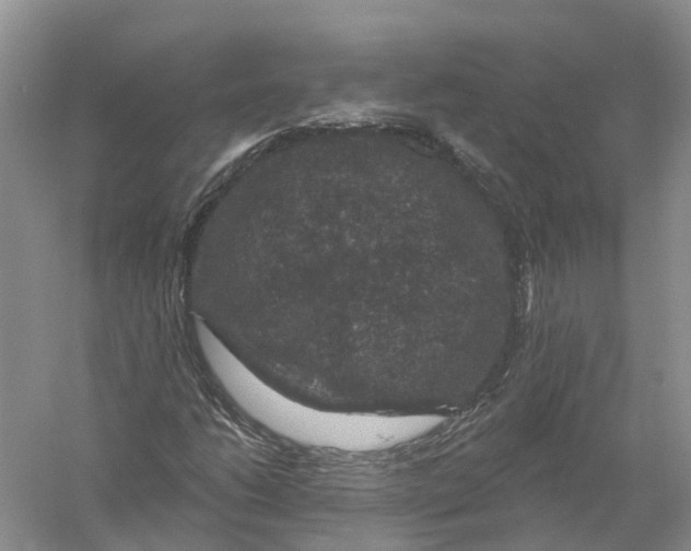 X0000056331206200509232004