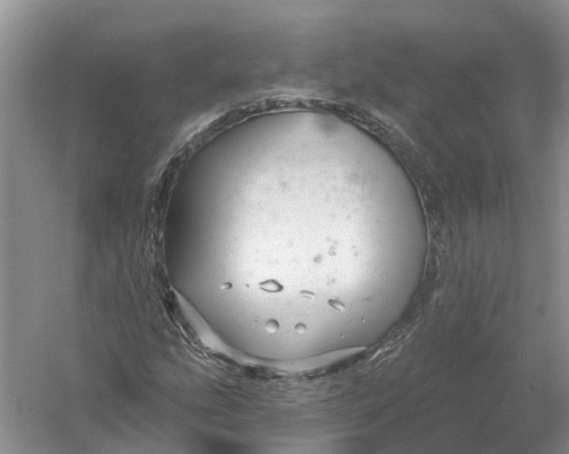 X0000056331207200509232004