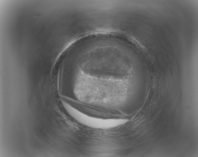 X0000056331208200509232004