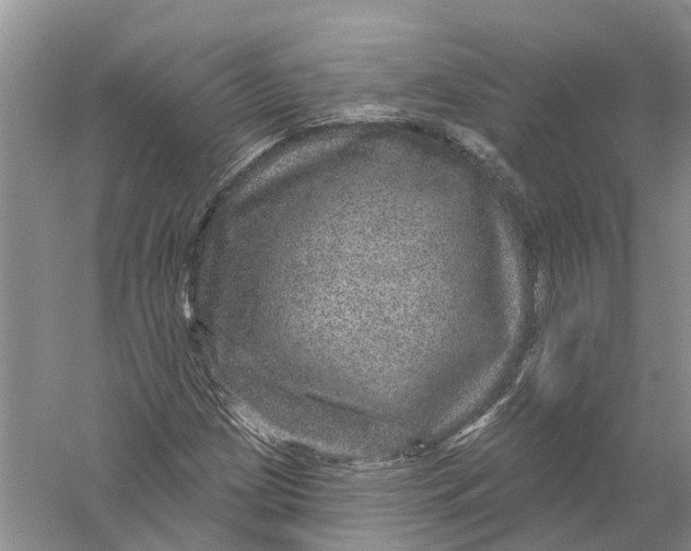 X0000056331209200509232004