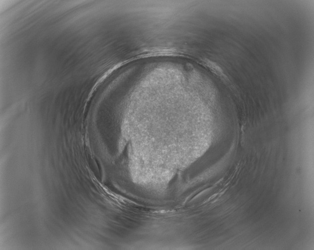 X0000056331212200509232004