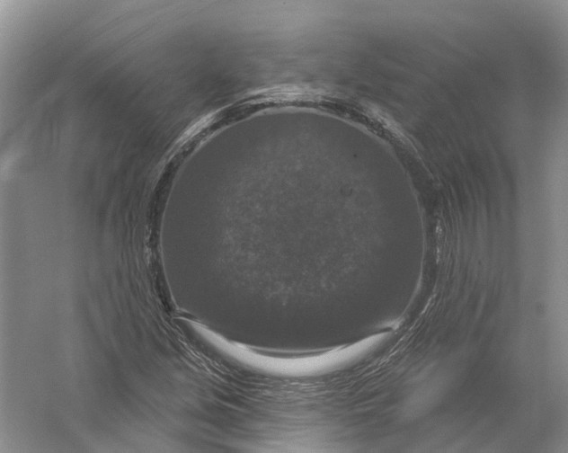 X0000056331213200509232004