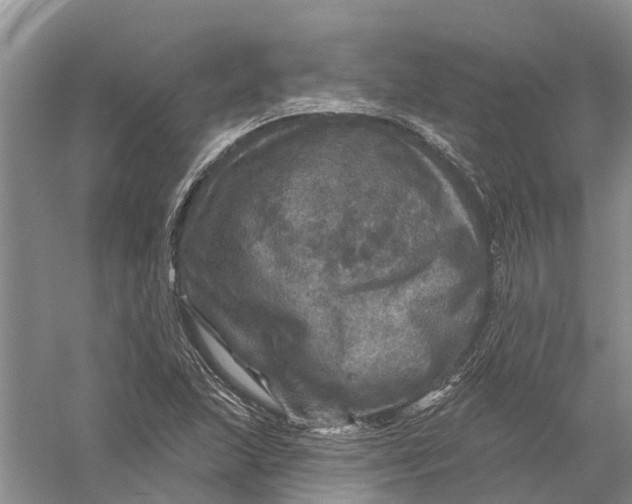 X0000056331215200509232004