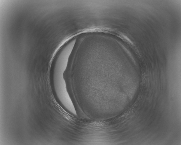 X0000056331216200509232004