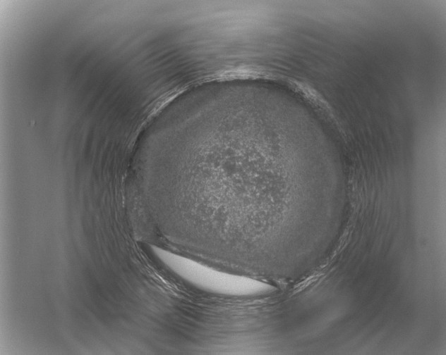 X0000056331217200509232004