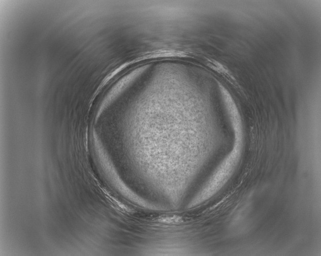 X0000056331220200509232004