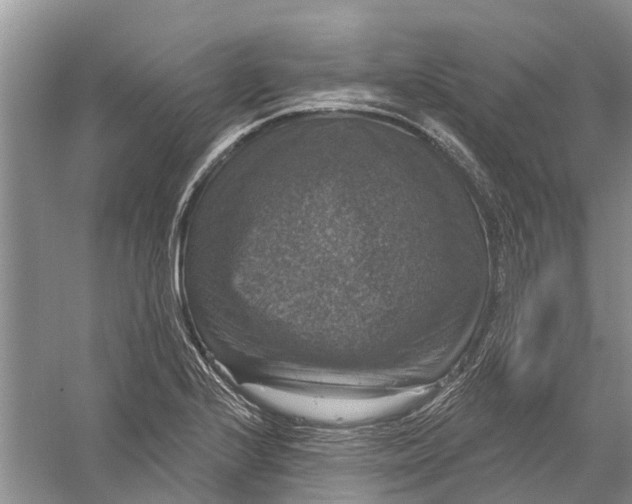 X0000056331224200509232004