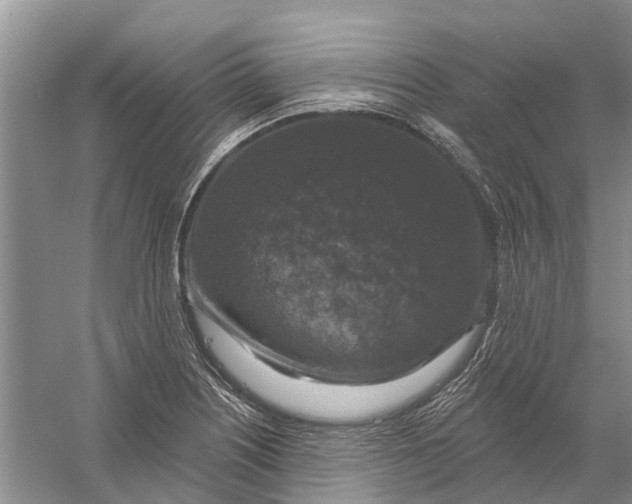 X0000056331226200509232004