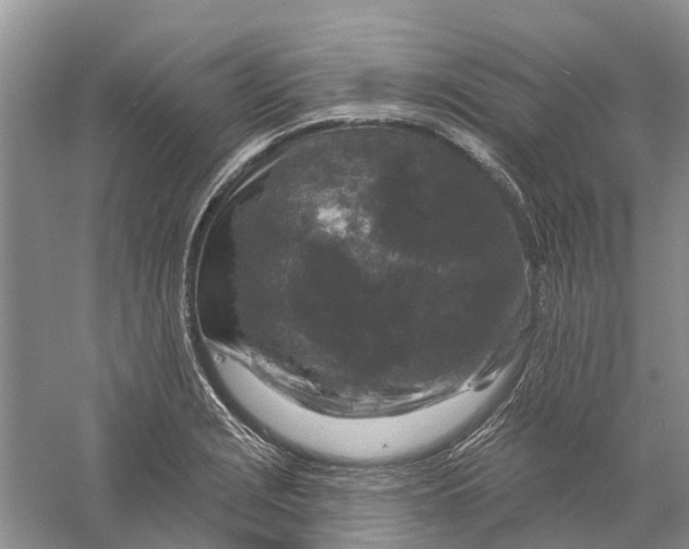 X0000056331229200509232004