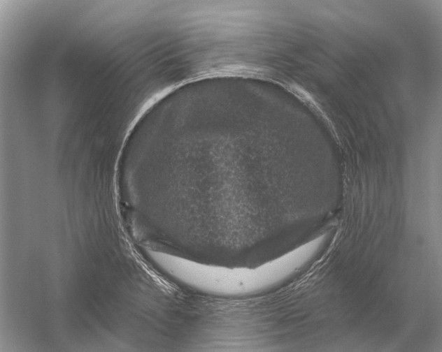 X0000056331230200509232004