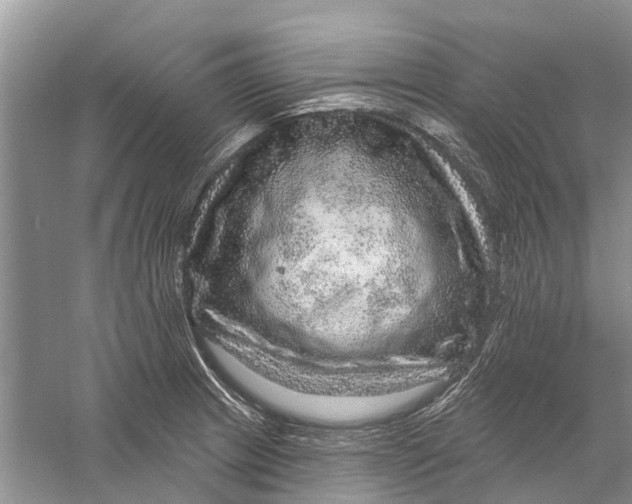 X0000056331233200509232004