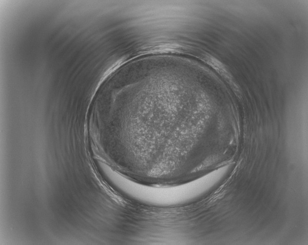 X0000056331234200509232004