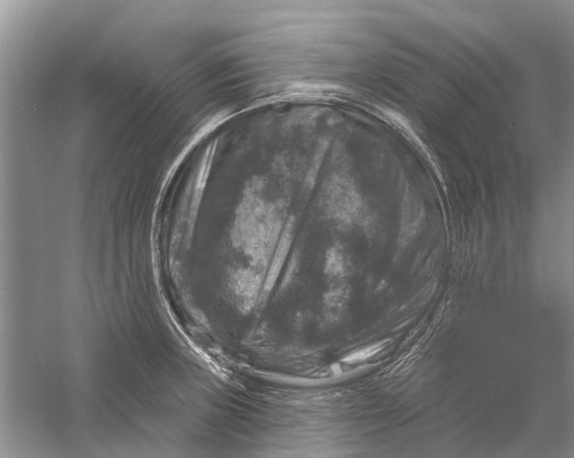 X0000056331235200509232004