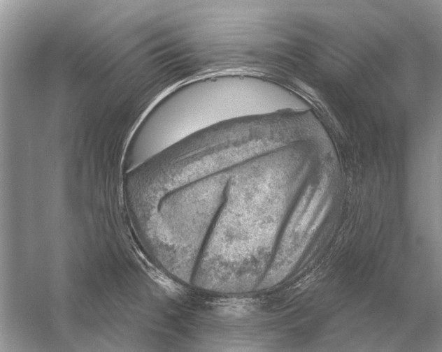 X0000056331236200509232004