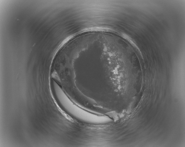 X0000056331237200509232004