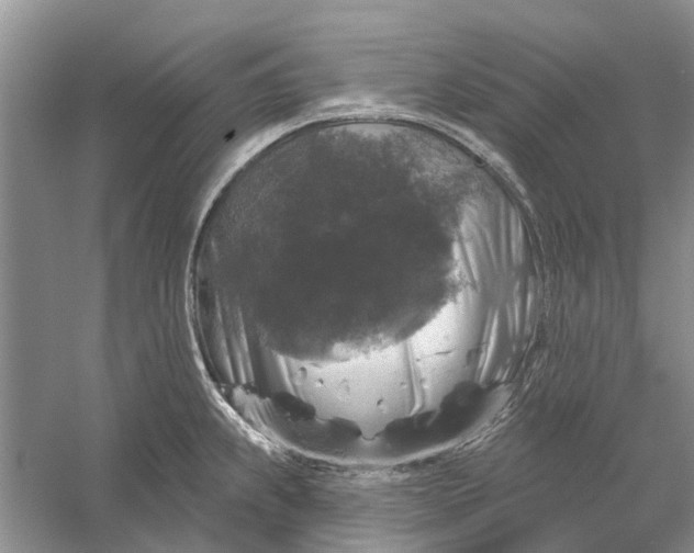 X0000056331239200509232004