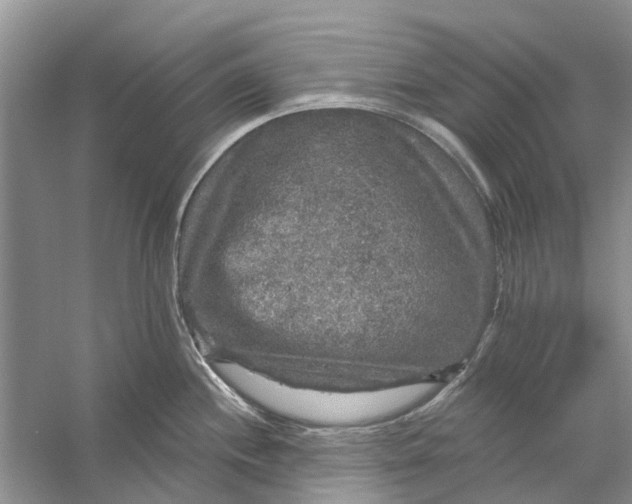 X0000056331244200509232004