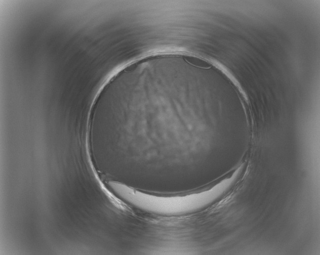 X0000056331245200509232004