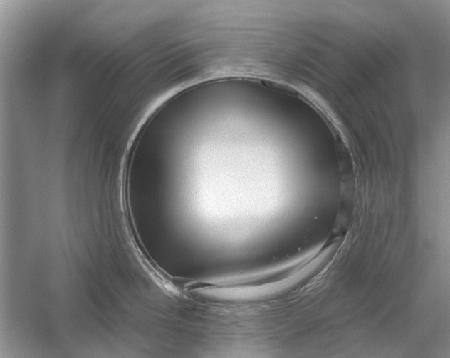 X0000056331246200509232004