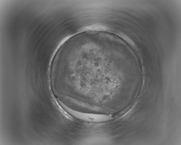 X0000056331248200509232004